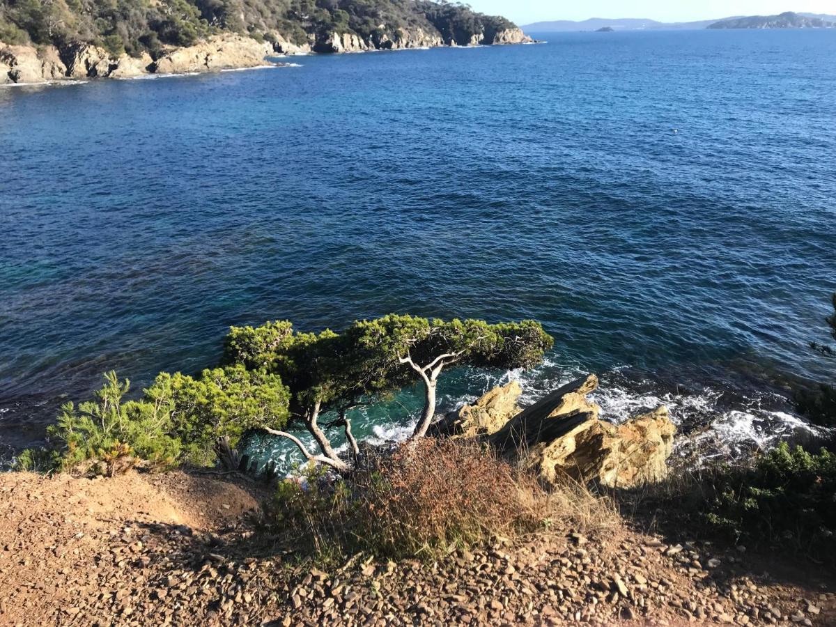 Willa La Pauseto La Seyne-sur-Mer Zewnętrze zdjęcie